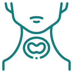 endocrino
